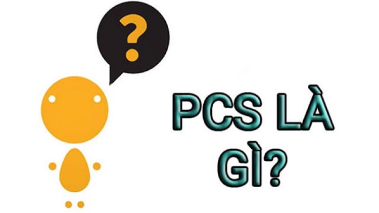 PSC là gì? Tầm quan trọng của PSC trong Kinh doanh - Ảnh 1